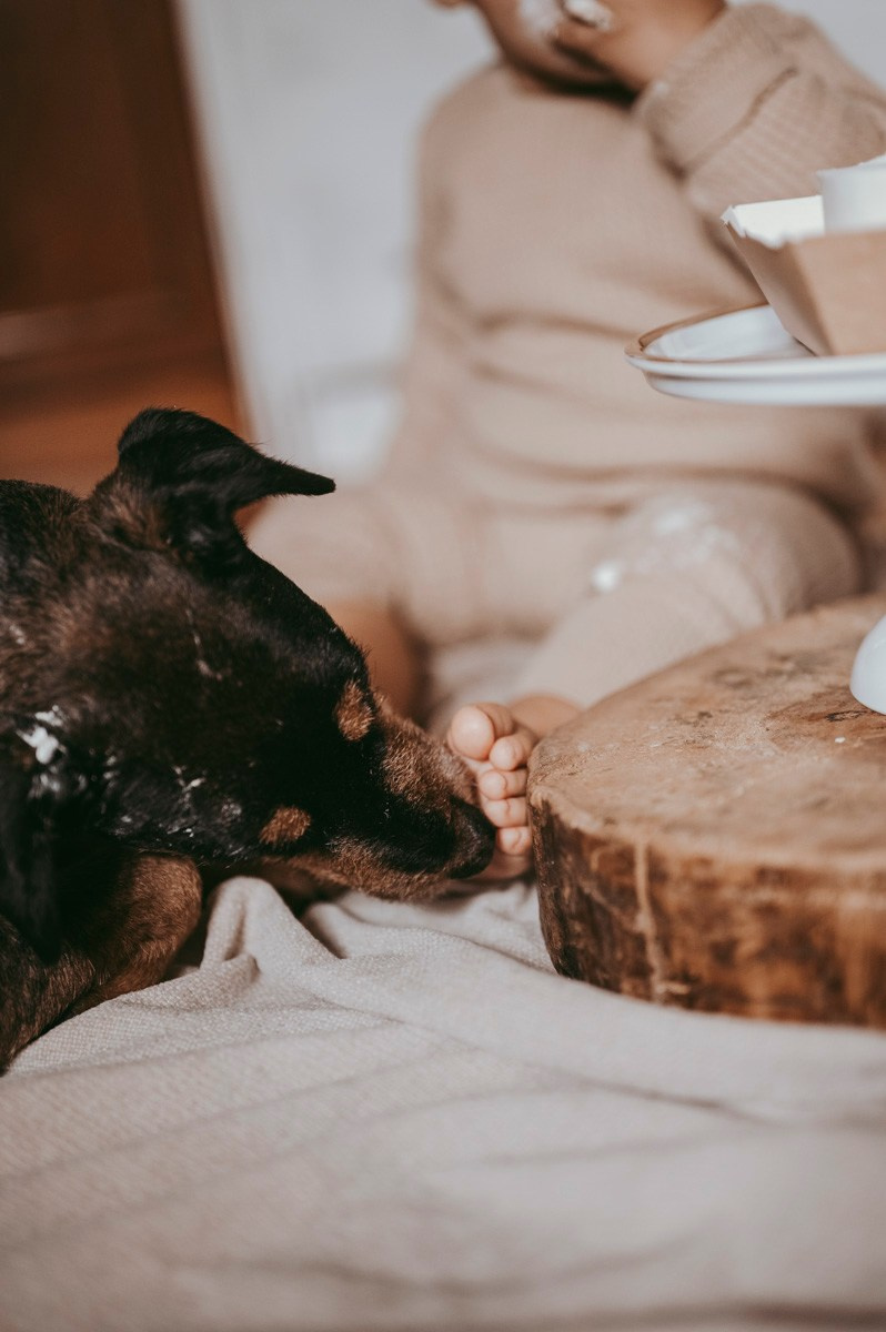 Filipova prva proslava rodjendan kod kuce. Deciji i porodicni fotograf u Beogradu Oksana Skendzic