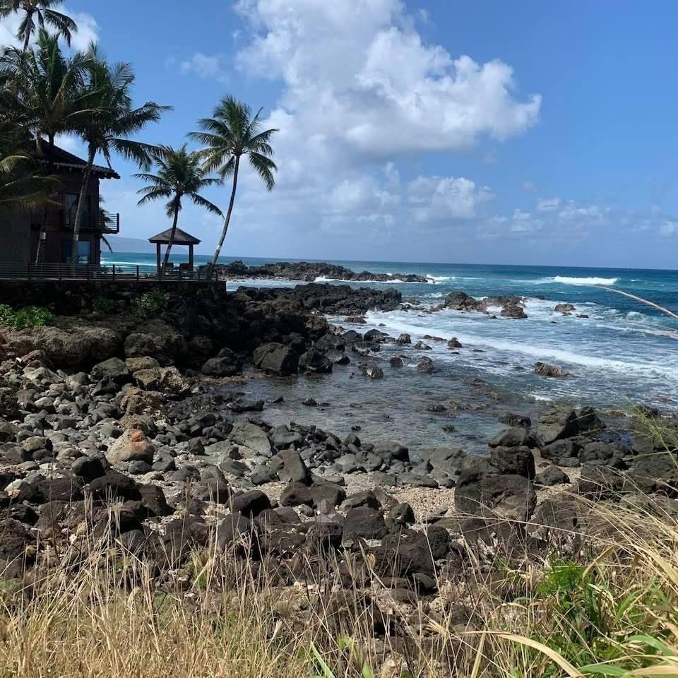 Lens Work From Field  1