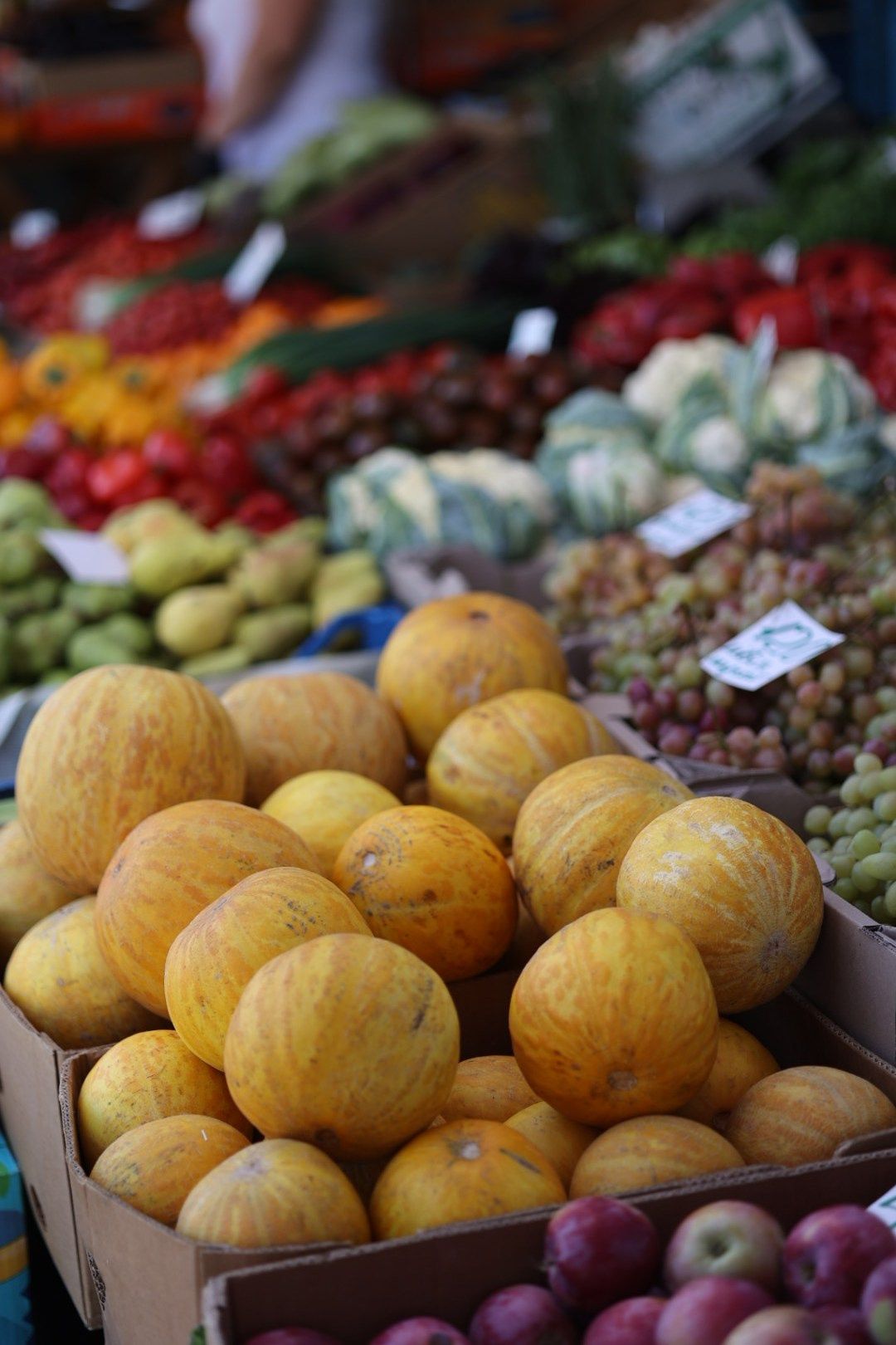 Ярмарка Острів Водників. Wedding and family photographer