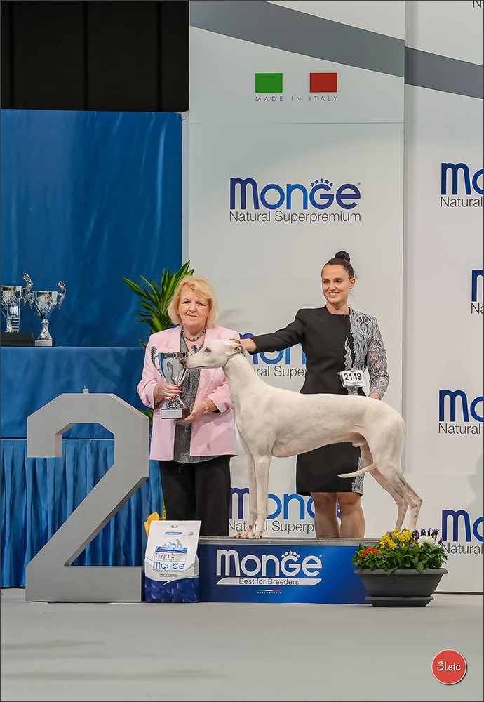 🇱🇺 LUXEMBOURG 🇱🇺 International Dog Show 4-5/04/2026. Photographe à Strasbourg | Portraits, Studio, Enfants, Événements