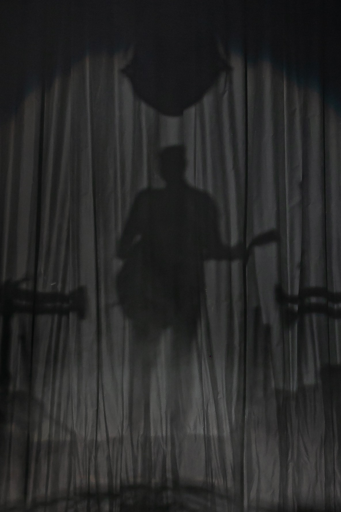 Скай. Репортажний фотограф/анімаліст КИЇВ