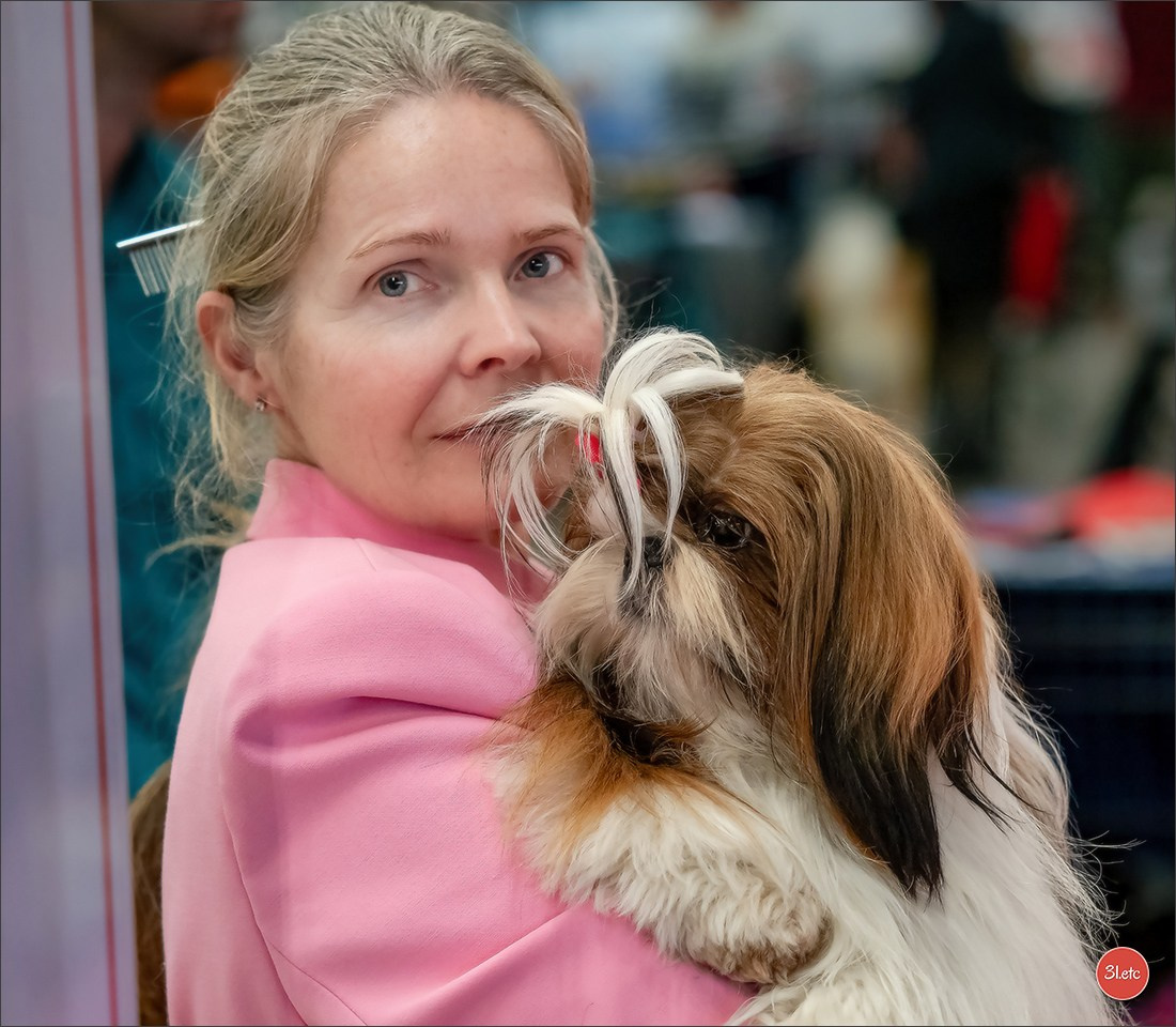 🇫🇷  Perpignan Dog Show  🇫🇷  Expo canine  17-18/01/2026. Photographe à Strasbourg | Portraits, Studio, Enfants, Événements