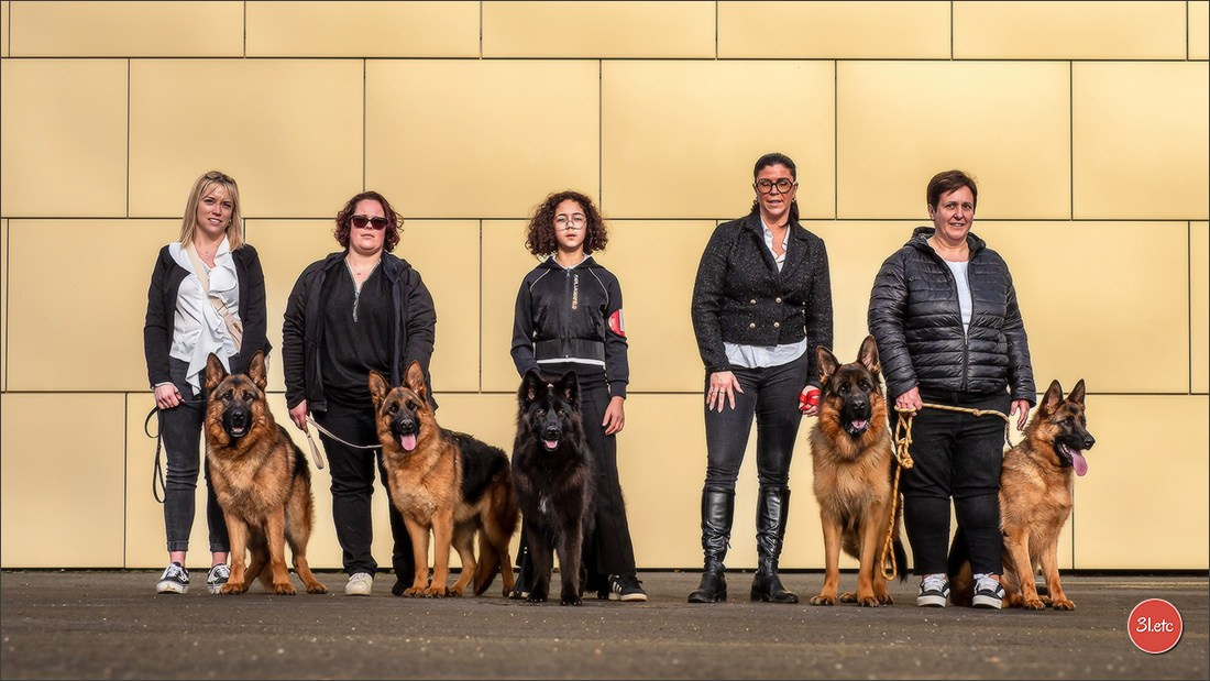 🇫🇷  Chalons en Champagne  🇫🇷  Expo canine  31/01-01/02/2026. Photographe à Strasbourg | Portraits, Studio, Enfants, Événements