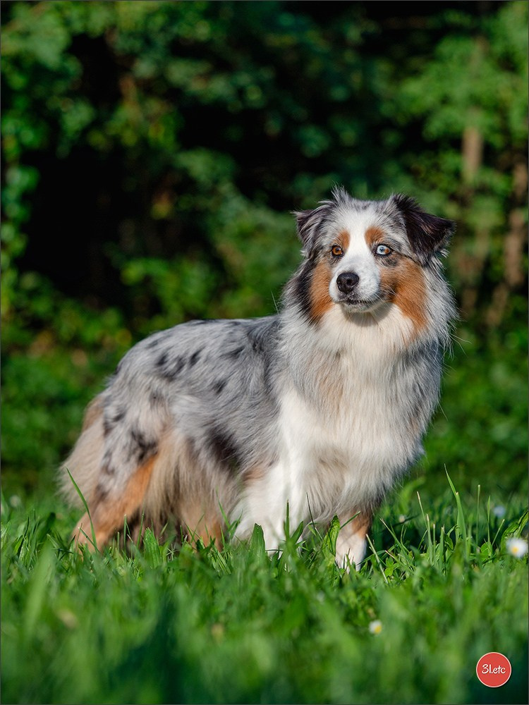 Domaine de la patte blanche. Photographe à Strasbourg | Portraits, Studio, Enfants, Événements
