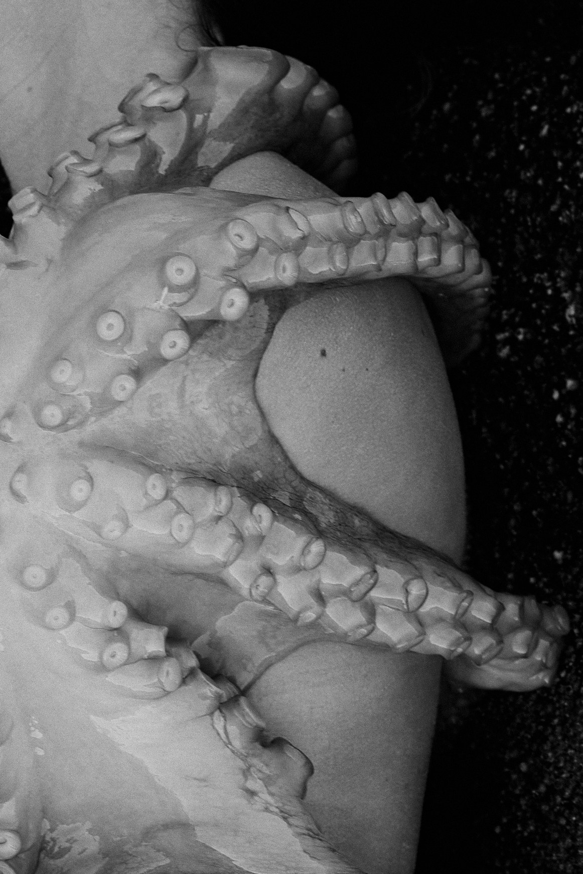 Pulpo. Фотограф в Барселоне Жанна Захарченко