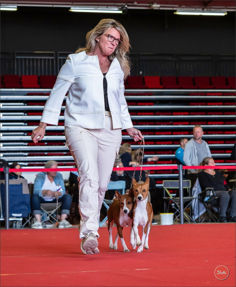 Exposition Canine à  Margny-lès-Compiègne 14-15/09/2024. Photographe à Strasbourg | Portraits, Studio, Enfants, Événements