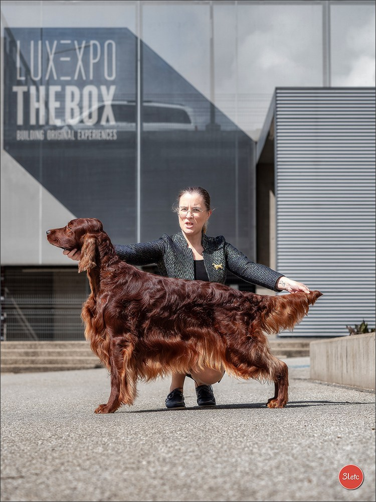 🇱🇺 LUXEMBOURG 🇱🇺 International Dog Show 🇱🇺 30/08 - 31/08/2025. Photographe à Strasbourg | Portraits, Studio, Enfants, Événements