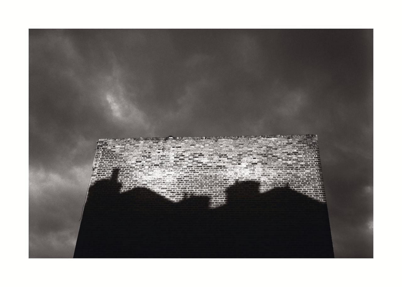 GROWTH. Grigoriy Yaroshenko photography | Фотограф Григорий Ярошенко