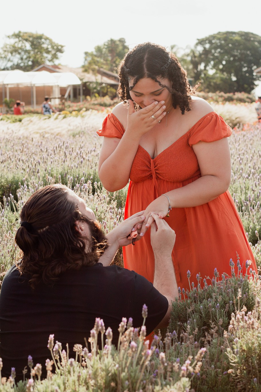 Pamela e Gabriel / Macena Flores — Holambra. Joyce Maria Fotografia | Fotógrafa em Holambra