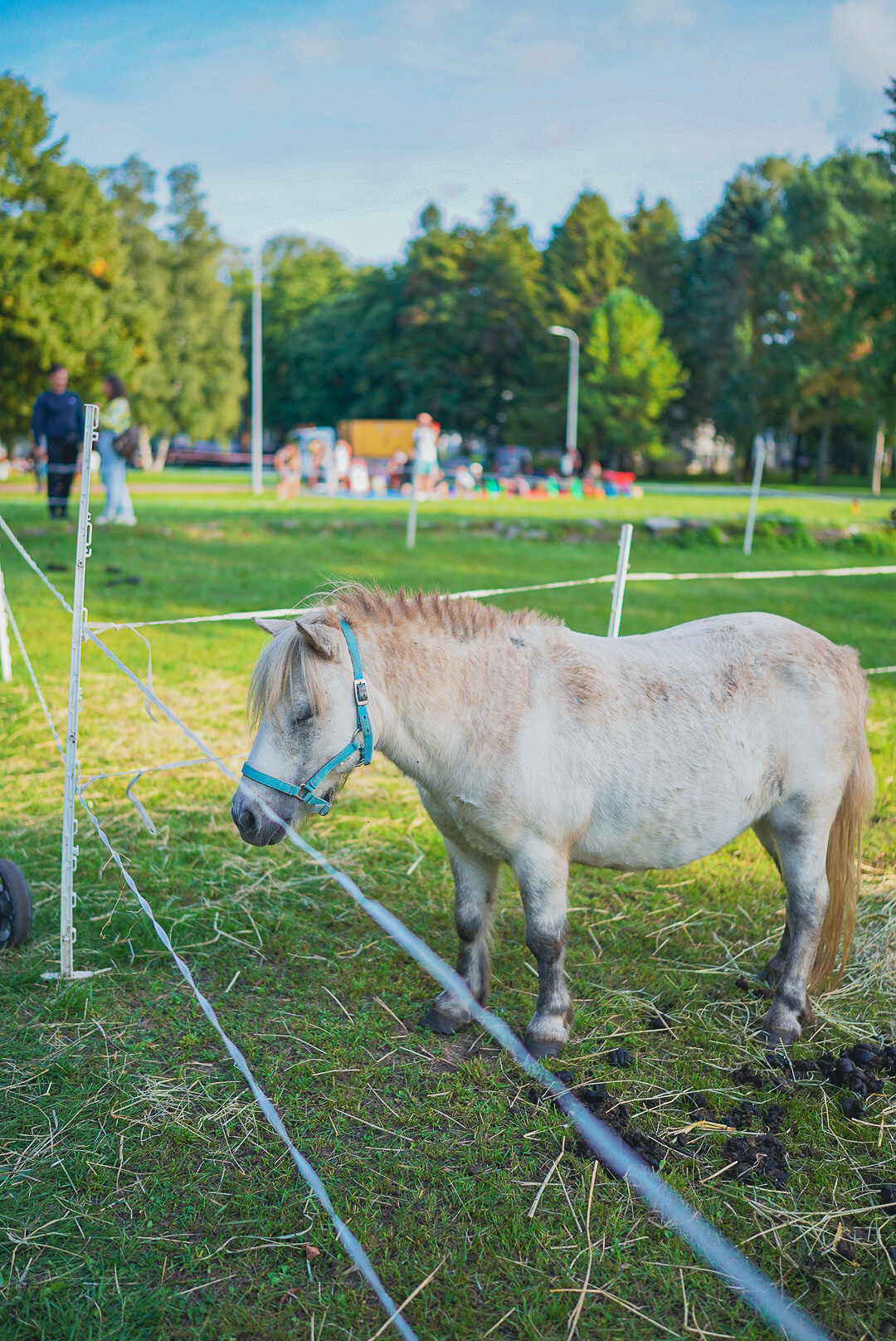 Животные. Uvarovsphoto