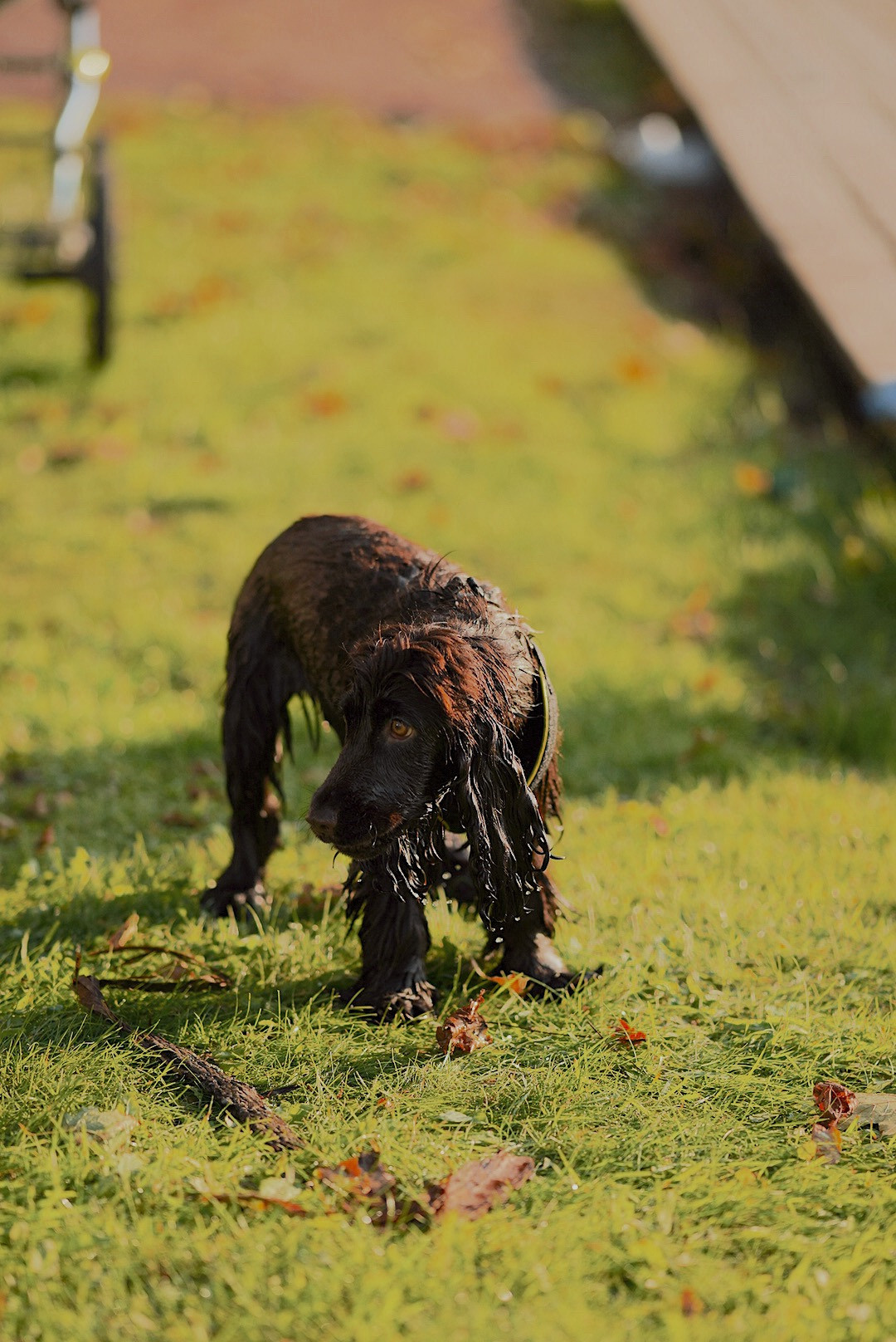 Животные. Uvarovsphoto