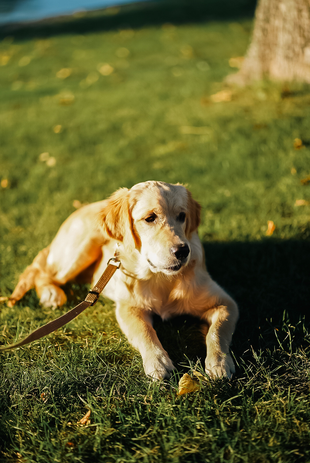 Животные. Uvarovsphoto