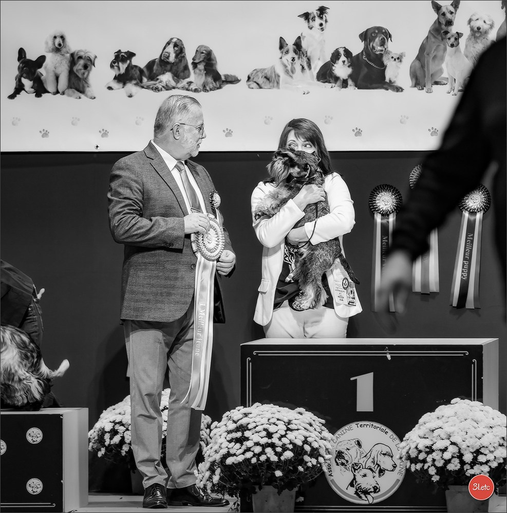 Expo canine  🇫🇷  Metz 08-09/11/2025. Photographe à Strasbourg | Portraits, Studio, Enfants, Événements