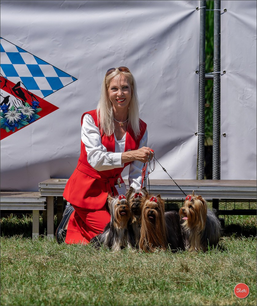 Dog Show - Hallbergmoos 🇩🇪 11-12/07/2026