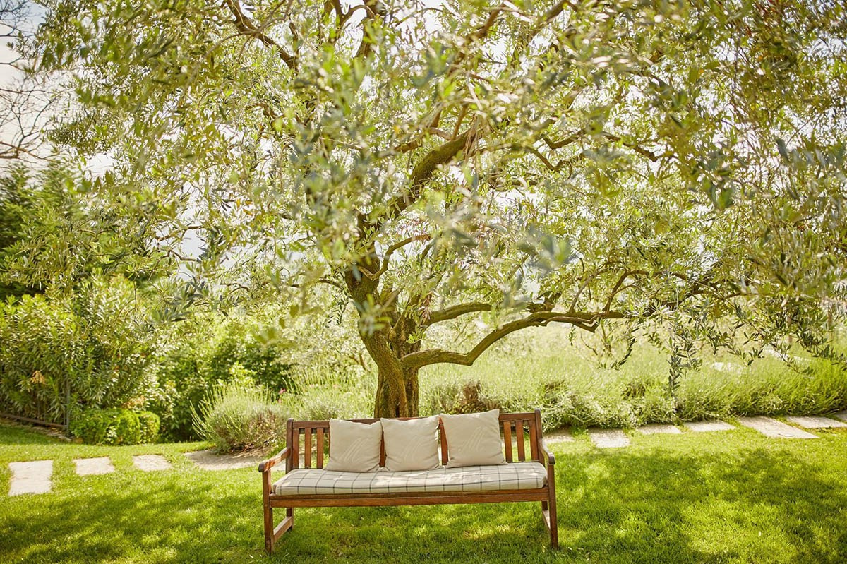 Brand Photography for Small Business