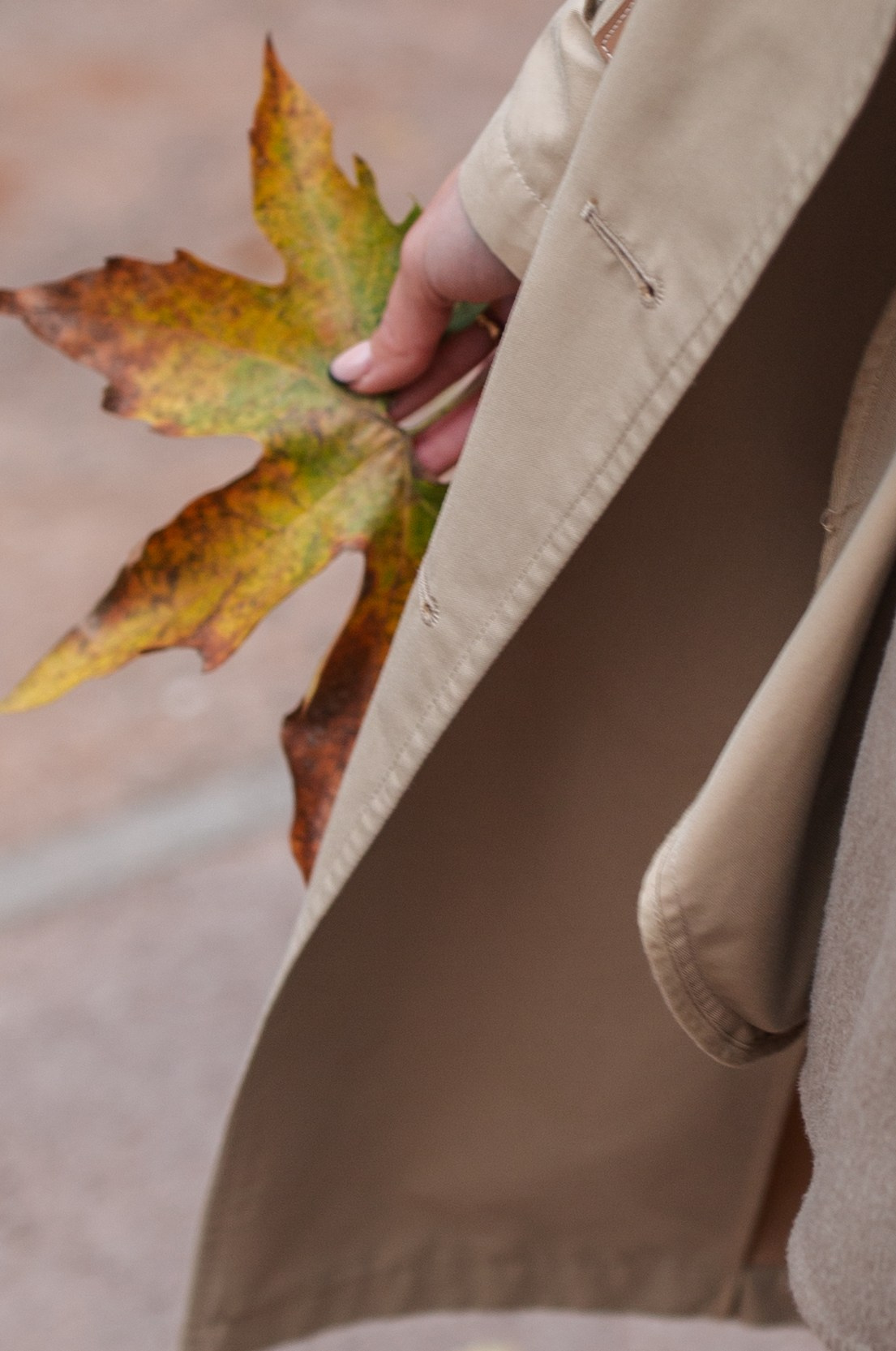 Fall in Rouen. Photographe à Rouen, France