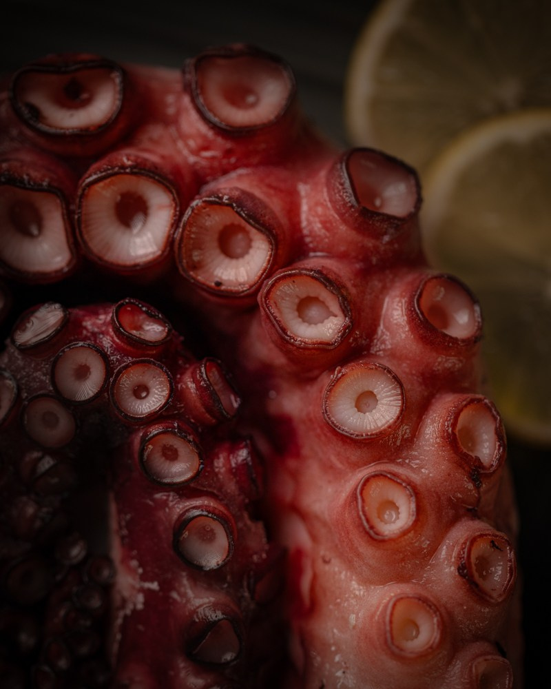 В Азербайджане вы можете подробно ознакомиться с профессиональным фото-портфолио фуд и предметного фотографа Сулейманлы Сулеймана. Здесь представлены качественные фуд-съемки и предметные фотографии для рекламы, меню, e-commerce и продвижения брендов.