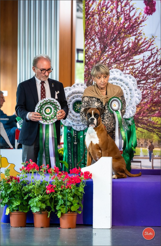 Expo canine 🇫🇷 Valence 02-03/05/2026