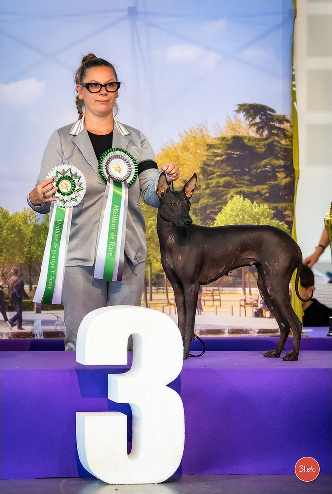 Expo canine 🇫🇷 Valence 02-03/05/2026