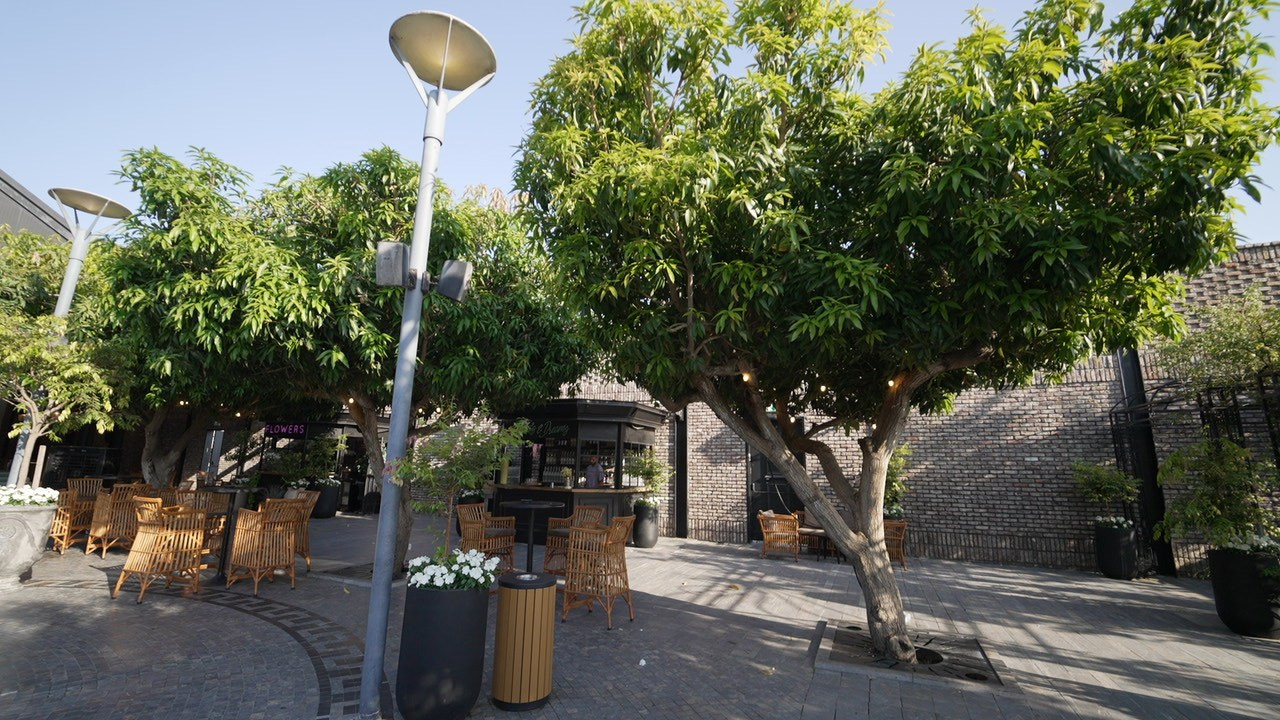 VIA / BASICO. Wedding and events photographers Studio Shalom