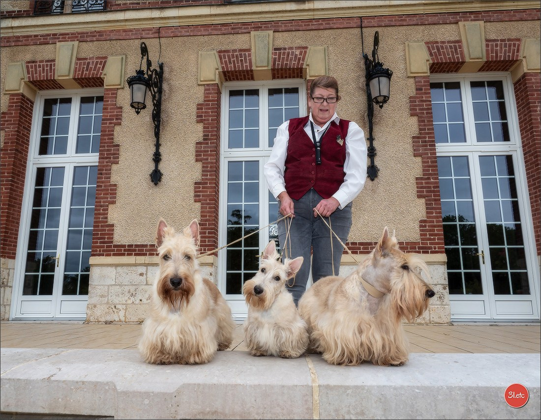 Photographie animalière. Photographe à Strasbourg | Portraits, Studio, Enfants, Événements