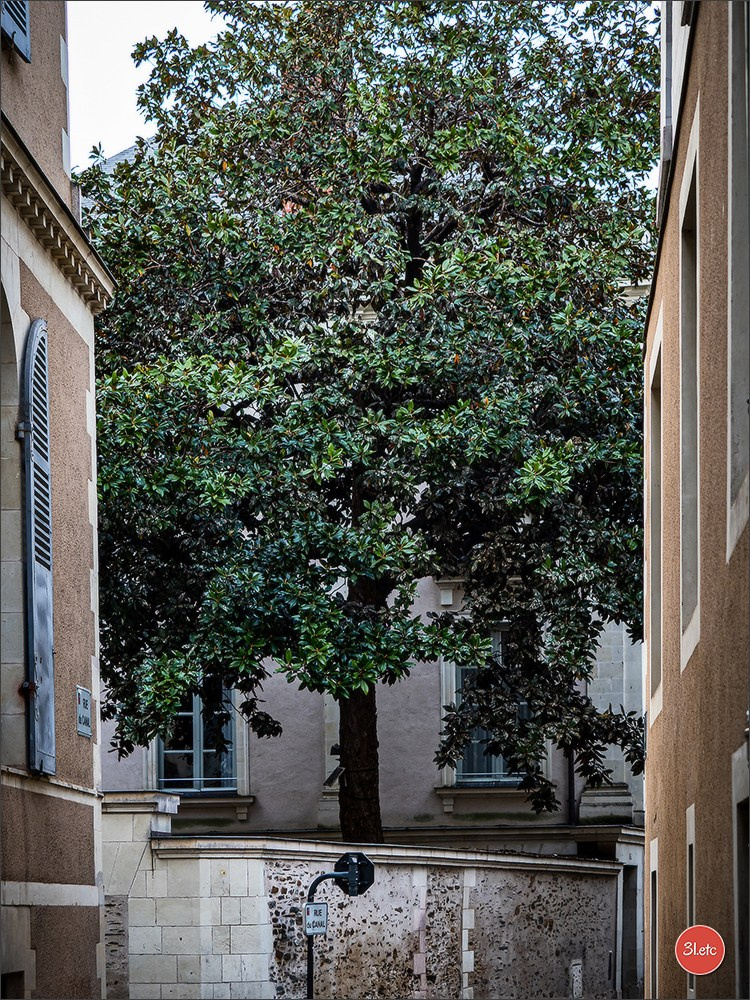 Angers  🇫🇷. Photographe à Strasbourg | Portraits, Studio, Enfants, Événements