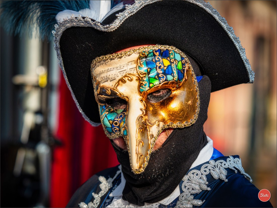 Carnaval vénitien de Rosheim 2026. Photographe à Strasbourg | Portraits, Studio, Enfants, Événements