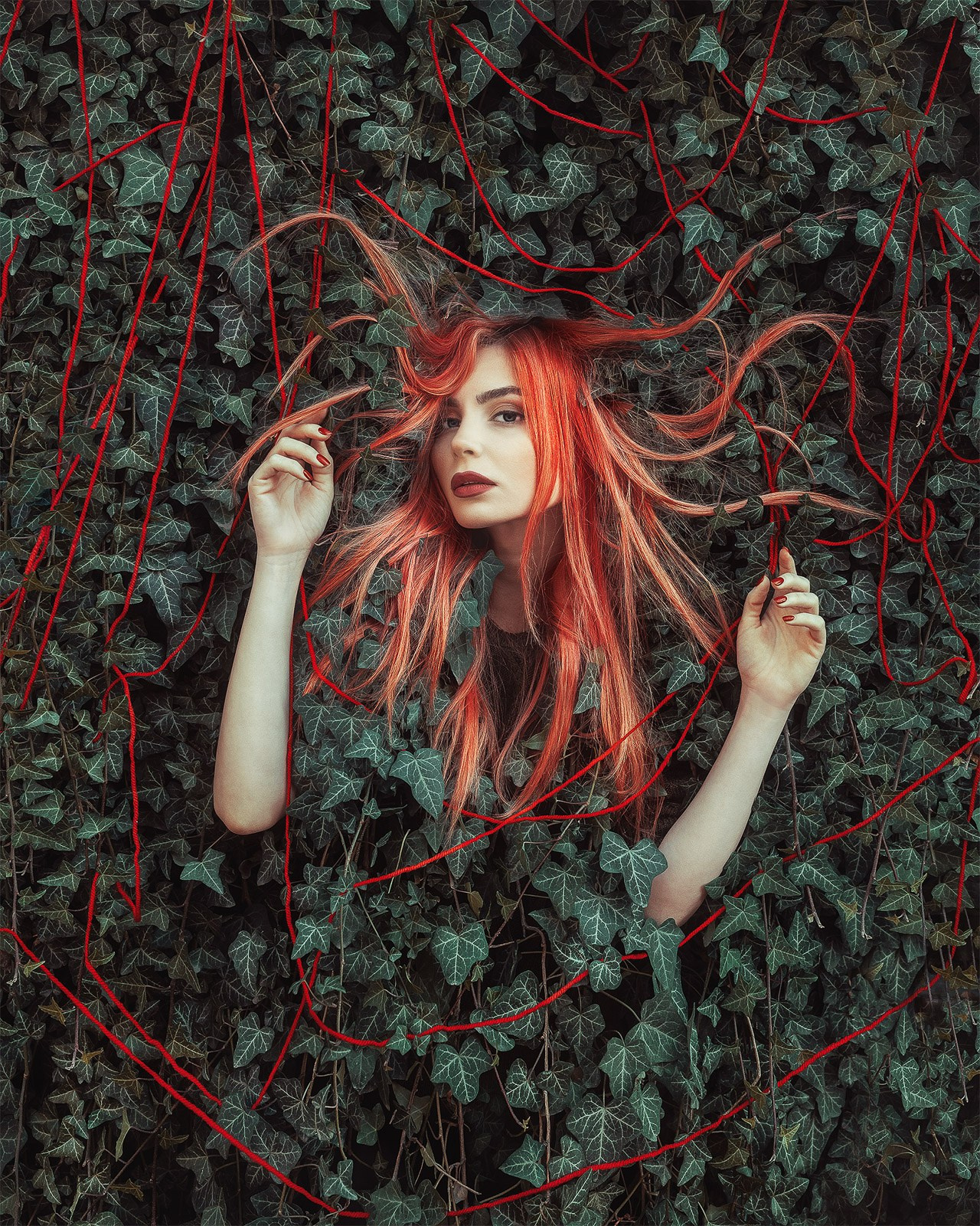 Aesthetic Portraits. The-yan.com