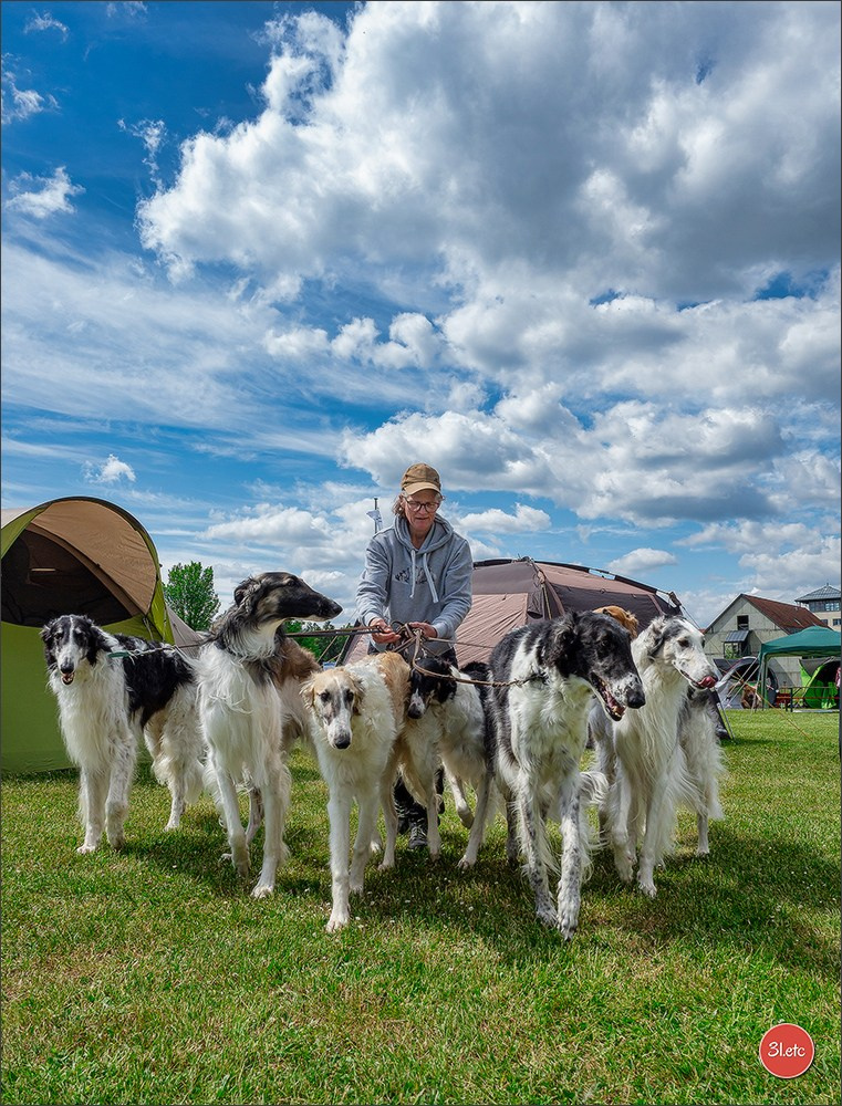 Dog Show Rieden 🇩🇪 16-18/05/2025. Photographe à Strasbourg | Portraits, Studio, Enfants, Événements
