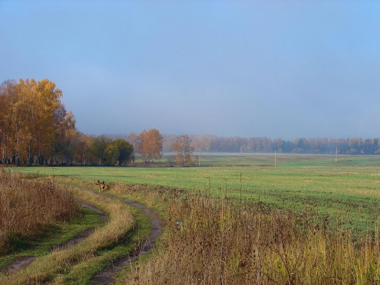 Праздник урожая, Мценск