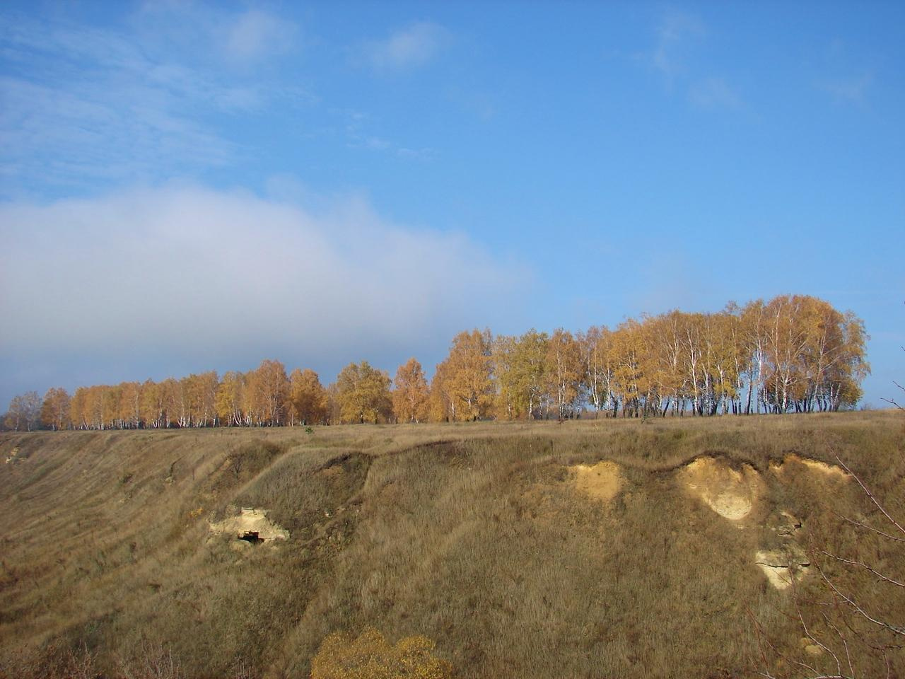Праздник урожая, Мценск