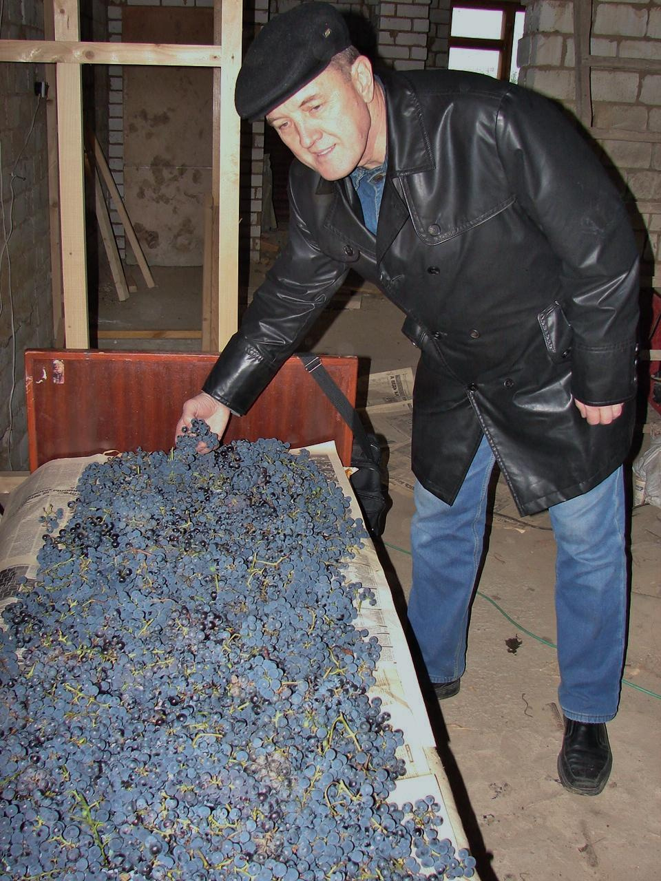 Праздник урожая, Мценск