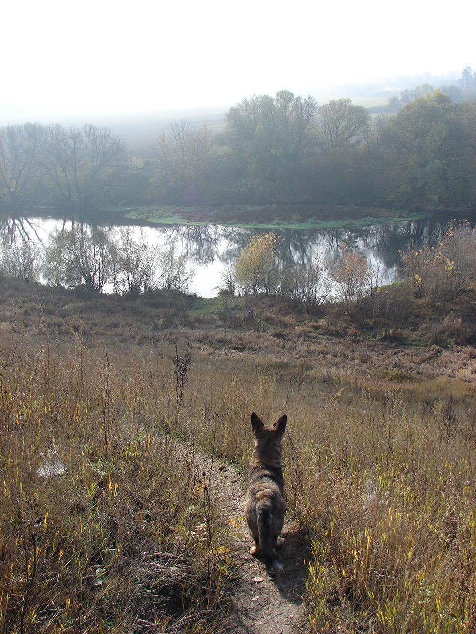 Праздник урожая, Мценск