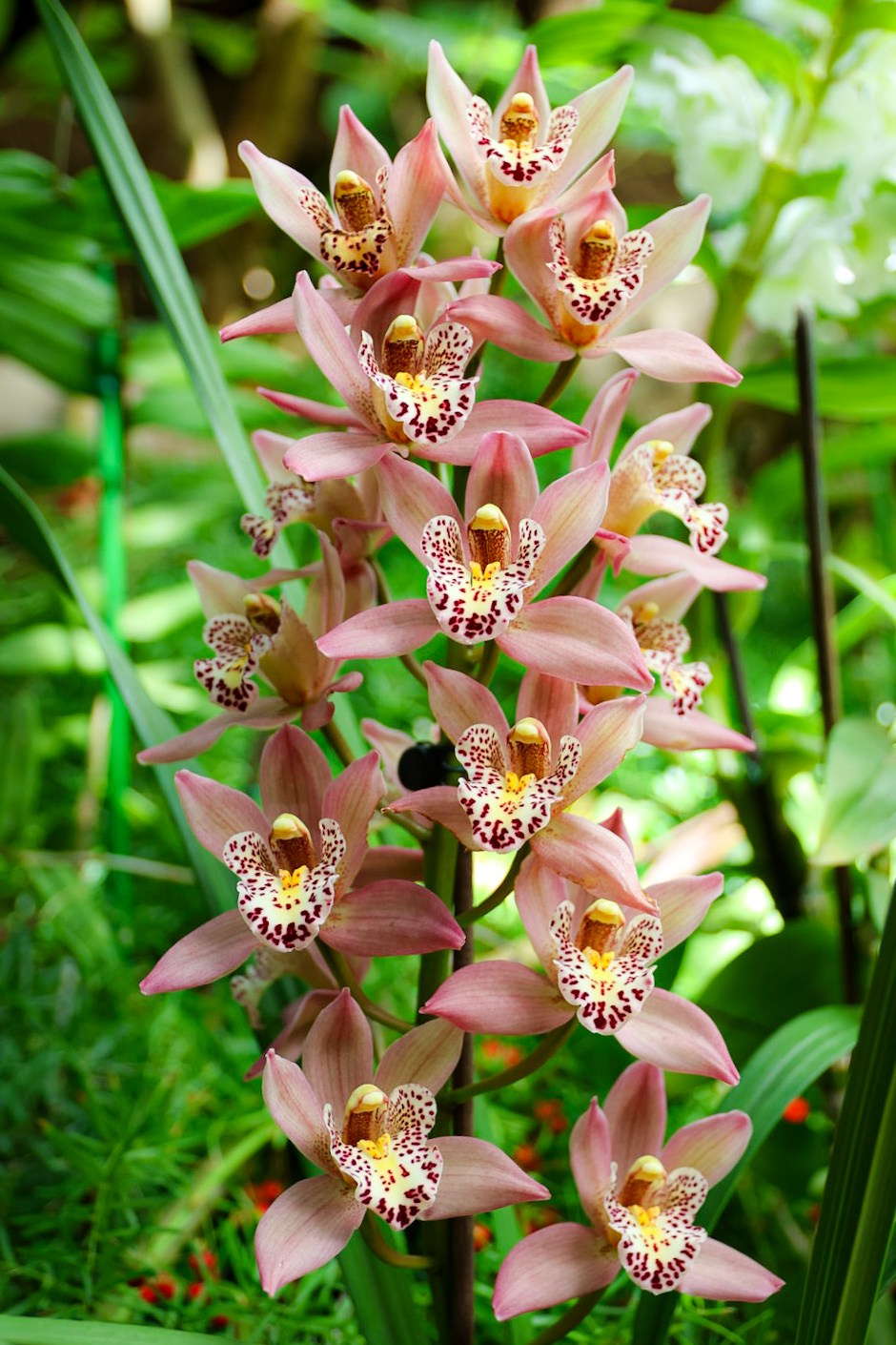 Gran Canaria 2024. Марина фотограф из Нюрнберга