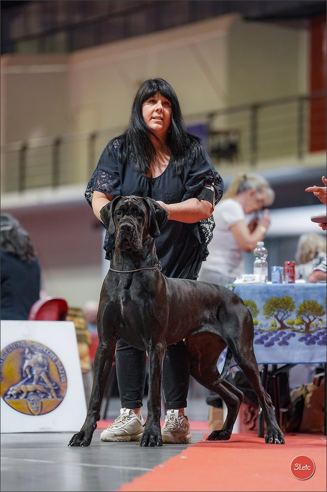 Expo canine 🇫🇷 Martigues 18-19/04/2026