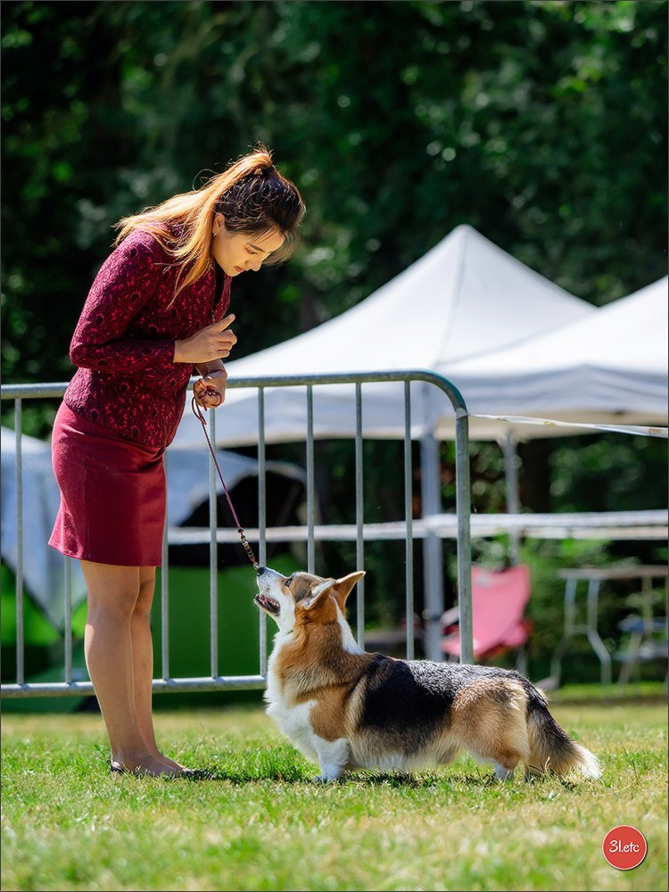 🇫🇷 Romorantin - Exposition Canine Nationale. Photographe à Strasbourg | Portraits, Studio, Enfants, Événements