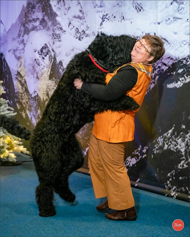13-14.12.2025   🇧🇪   Brussels Dog Show. Photographe à Strasbourg | Portraits, Studio, Enfants, Événements