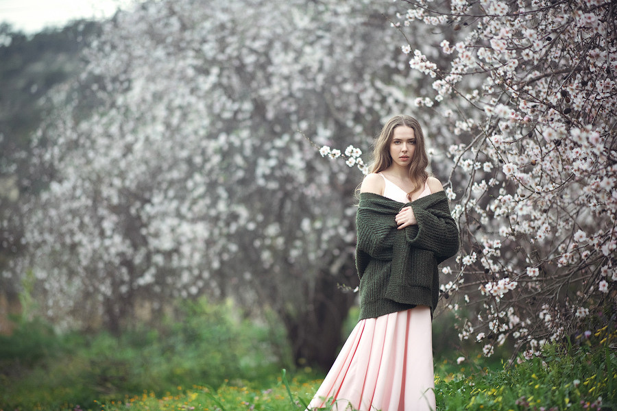 В миндальном саду. Фотограф на Кипре