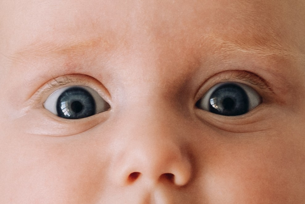 Elena Pretzner Photography