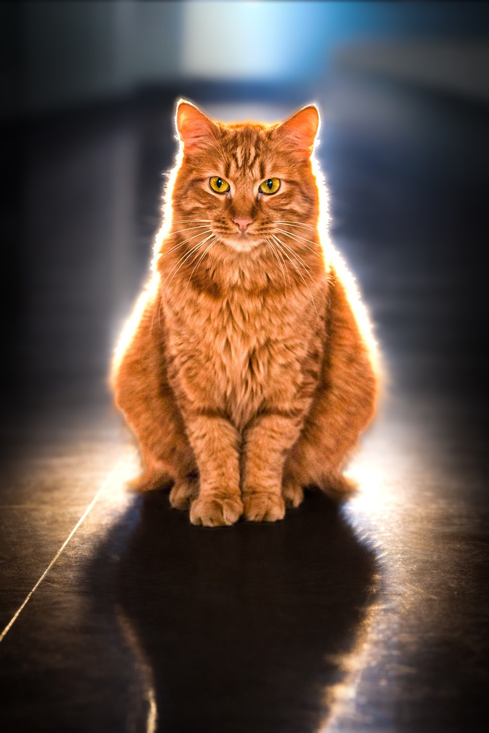 Sesiones destacadas. Lucyfera Studio