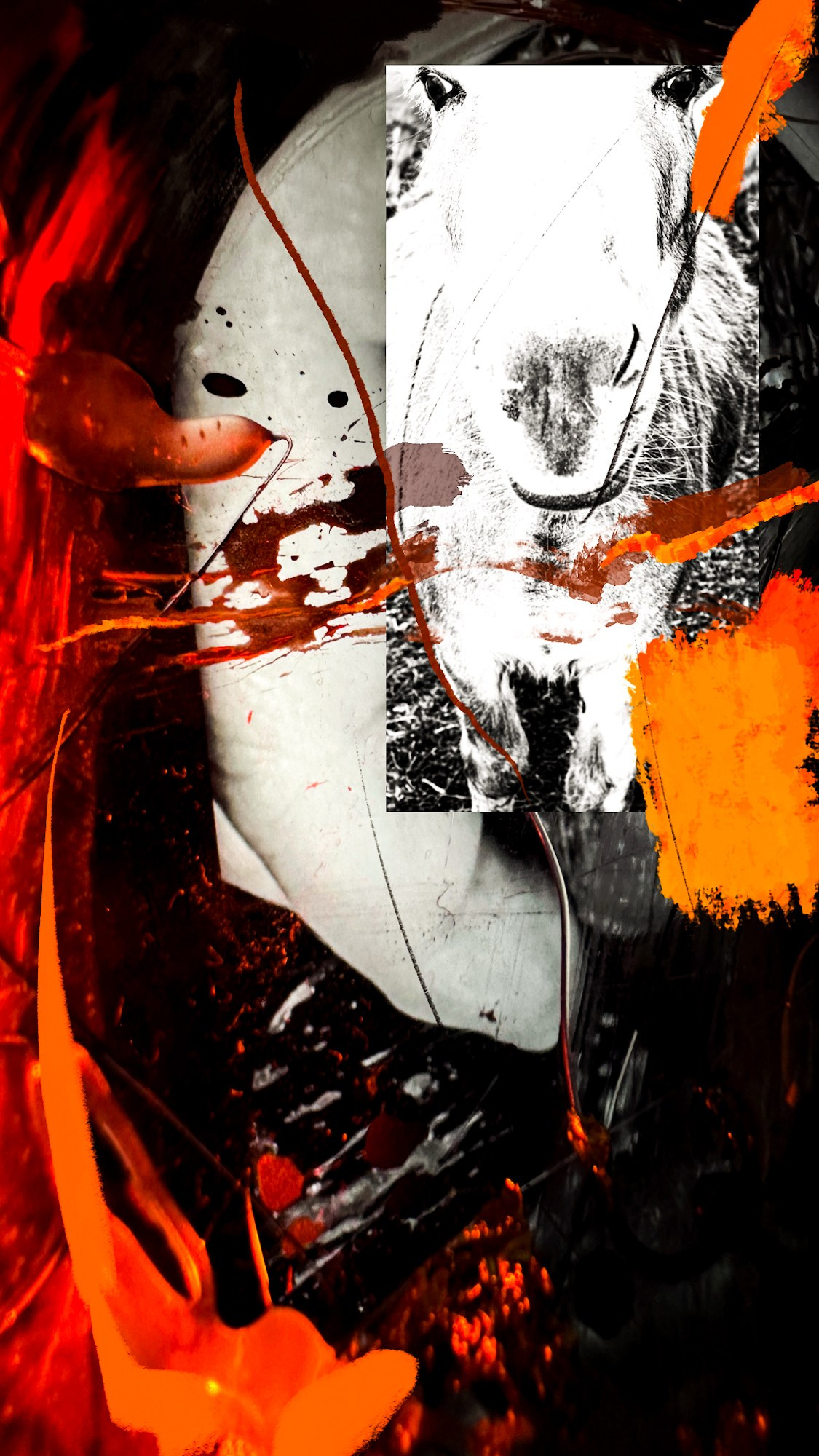 Photography’ Clipping. Ekaterina Tsurkina-Appina Photography Canada