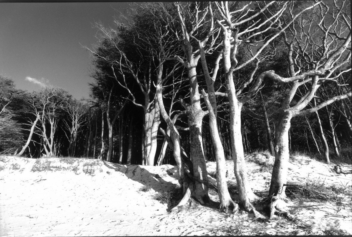 Sacra Natura. Katerina Kiper Photography