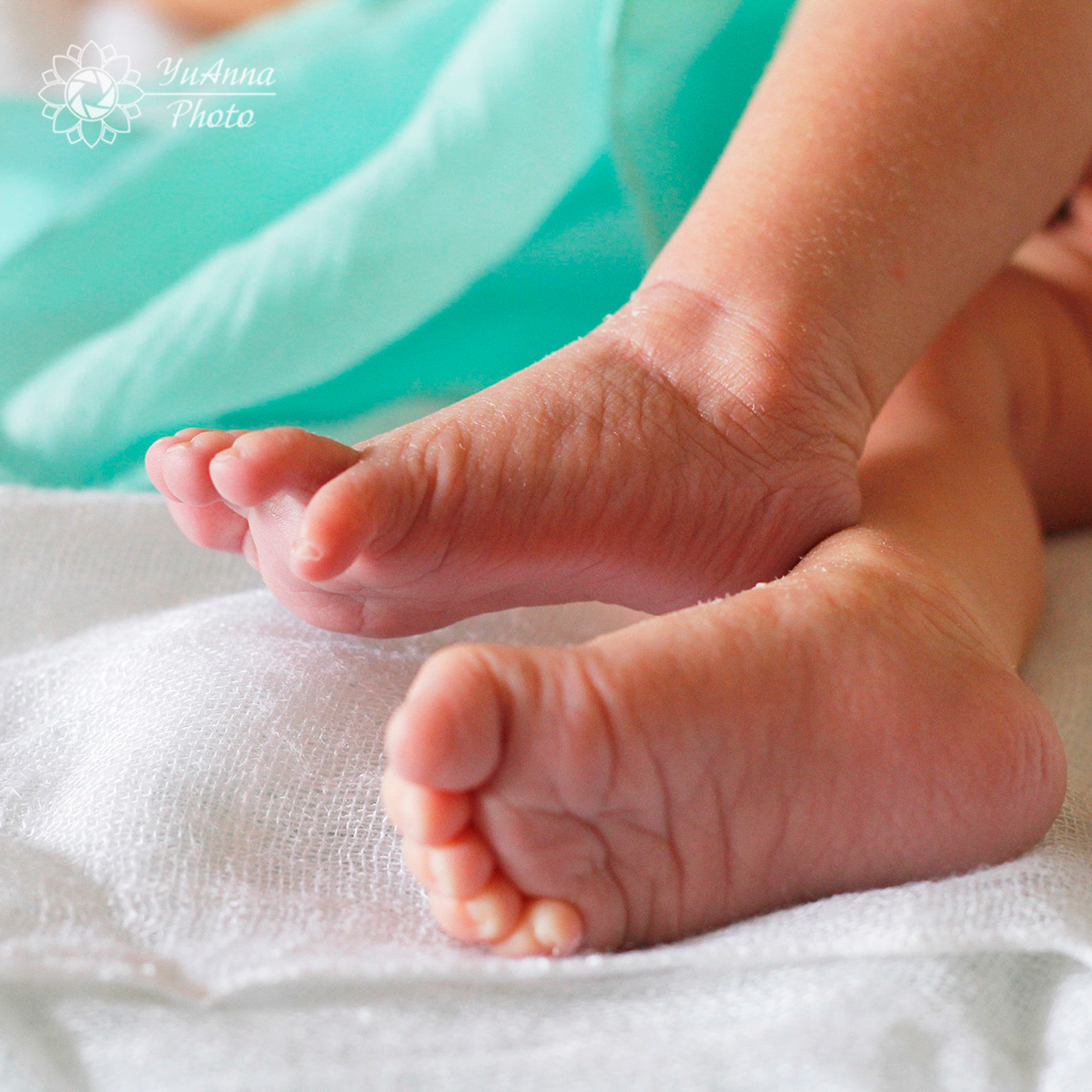 Newborn. YuAnna studio. Family & Kids Photographer in Seattle area, located in