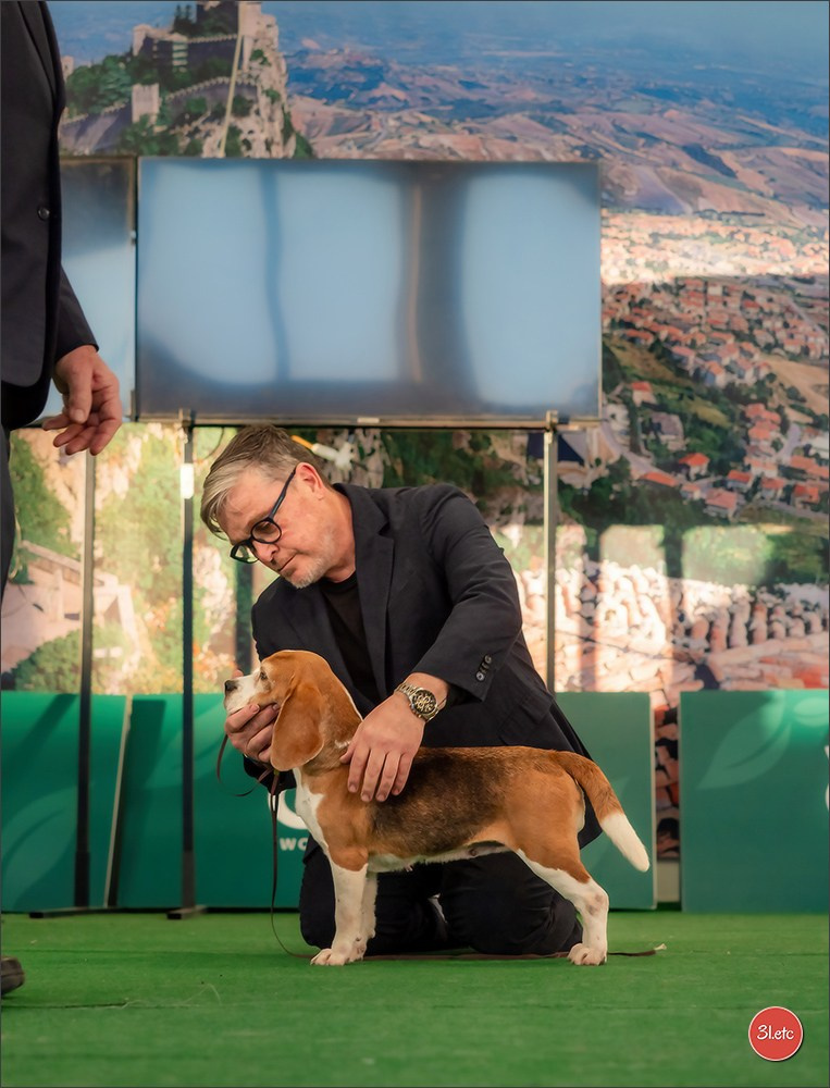 Dog Show  🇮🇹  San Marino. Photographe à Strasbourg | Portraits, Studio, Enfants, Événements