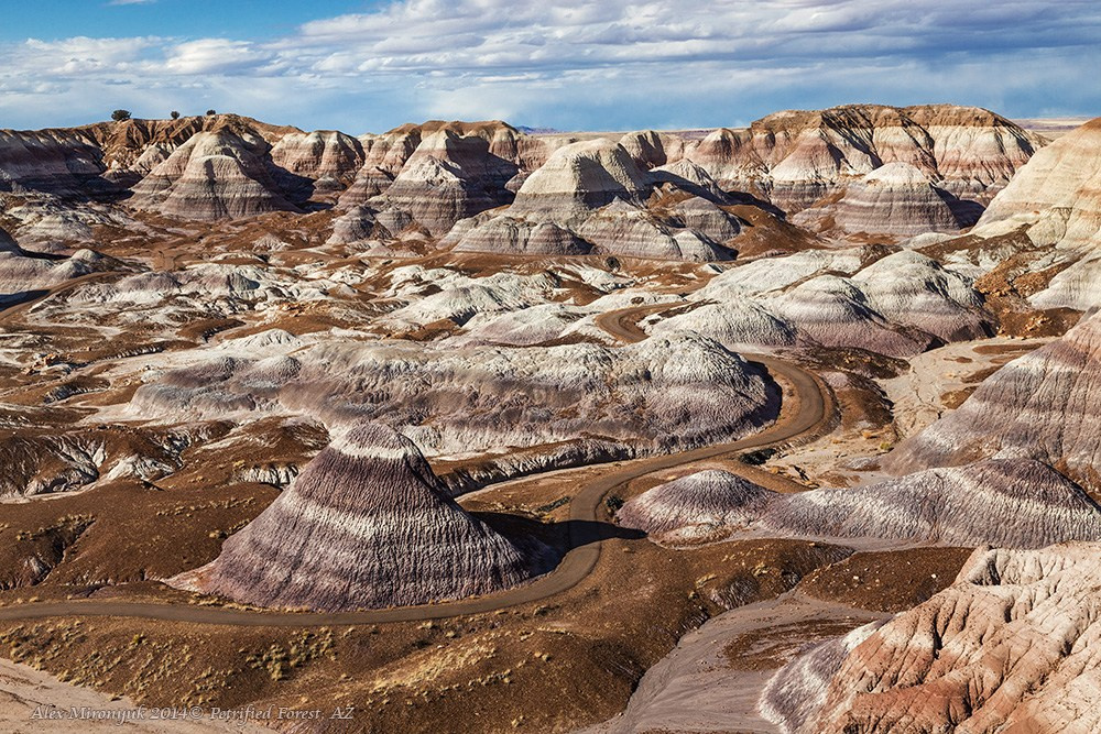 Eagle’s View — Arizona. Pet, Senior, Landscape, portrait studio, photographer in Miami and Sou