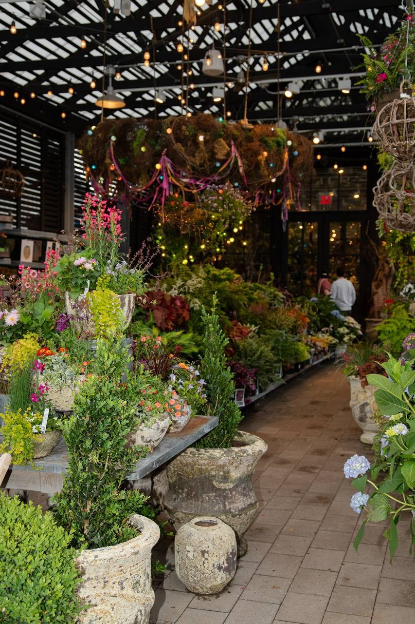 Leila & Vahan. Wedding Photographer & Videographer