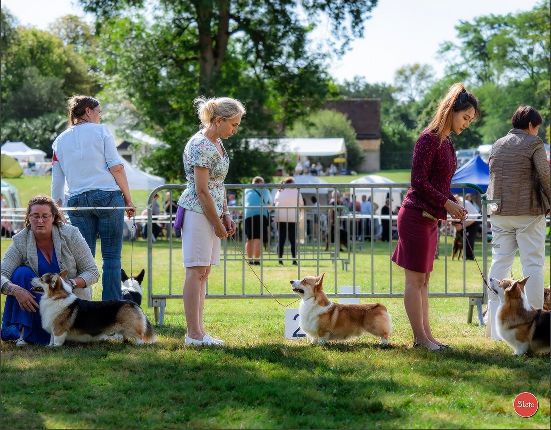 🇫🇷 Romorantin - Exposition Canine Nationale. Photographe à Strasbourg | Portraits, Studio, Enfants, Événements