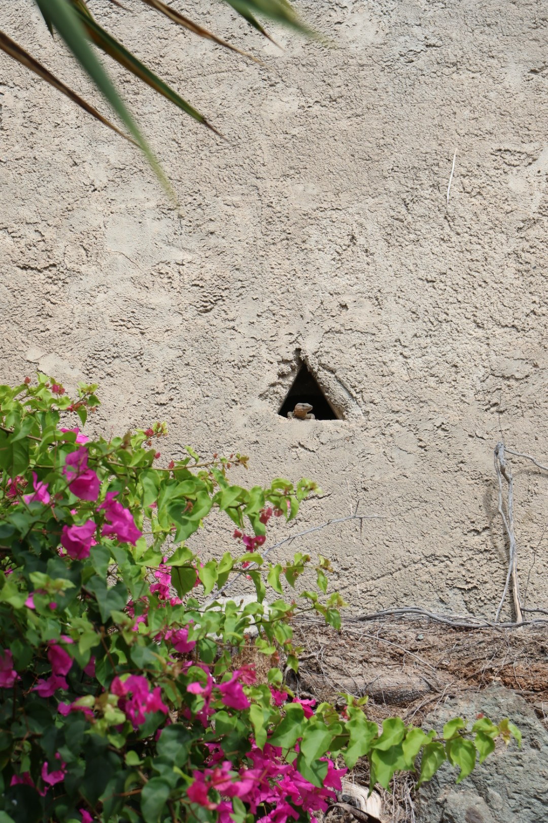 Gran Canaria 2024. Марина фотограф из Нюрнберга