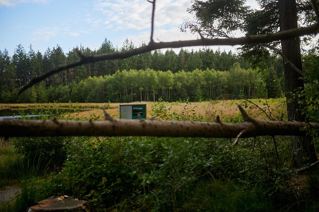 Nature. Personal, fashion, business Photographer in Netherlands