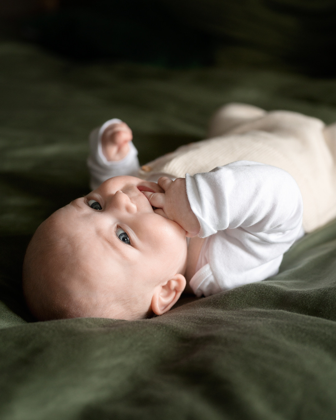Tierfotografie und Familienfotografie in der Hallertau
